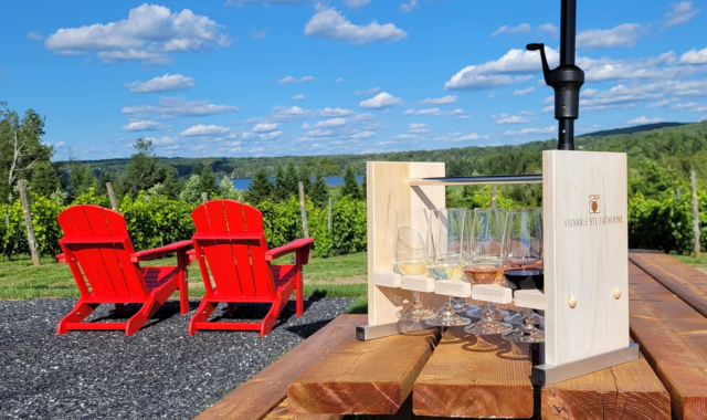 Vignoble Sainte-Catherine